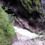 Gwercherwirt
