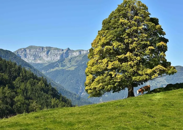 Gwercherwirt 3* Brandenberg
