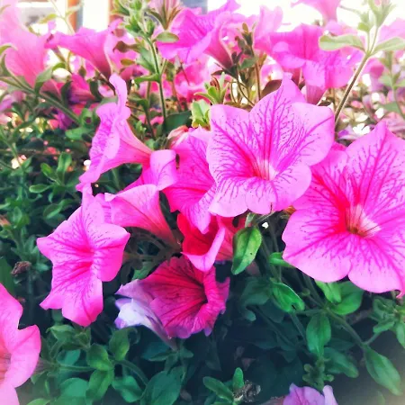 Gwercherwirt Szálloda