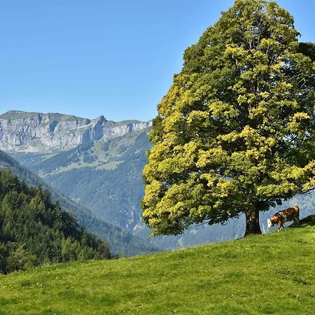 Gwercherwirt 3* Brandenberg