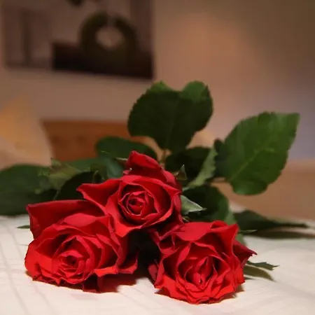 Gwercherwirt Szálloda 3*